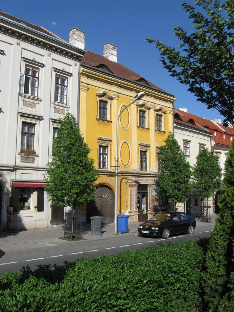 Pyrus calleryana 'Chanticleer.jpg Pyrus calleryana 'Chanticleer.jpg